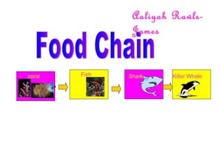 Food Chain coral Fish Shark Killer Whale Aaliyah Rawls-James 