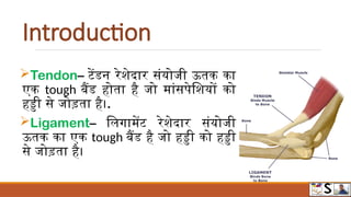 all about SPRAIN AND STRAIN IN HINDI.pptx | Free Download