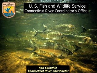 Ken Sprankle
Connecticut River Coordinator
U. S. Fish and Wildlife Service
Connecticut River Coordinator’s Office
 