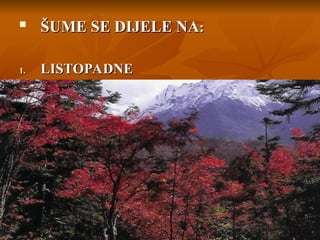 
ŠUME SE DIJELE NA
ŠUME SE DIJELE NA:
:
1.
1. LISTOPADNE
LISTOPADNE
-
-
 