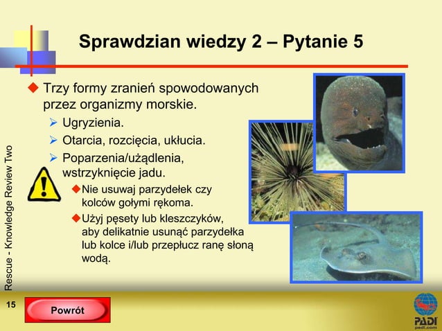 Sprawdzian wiedzy 2 | PPT