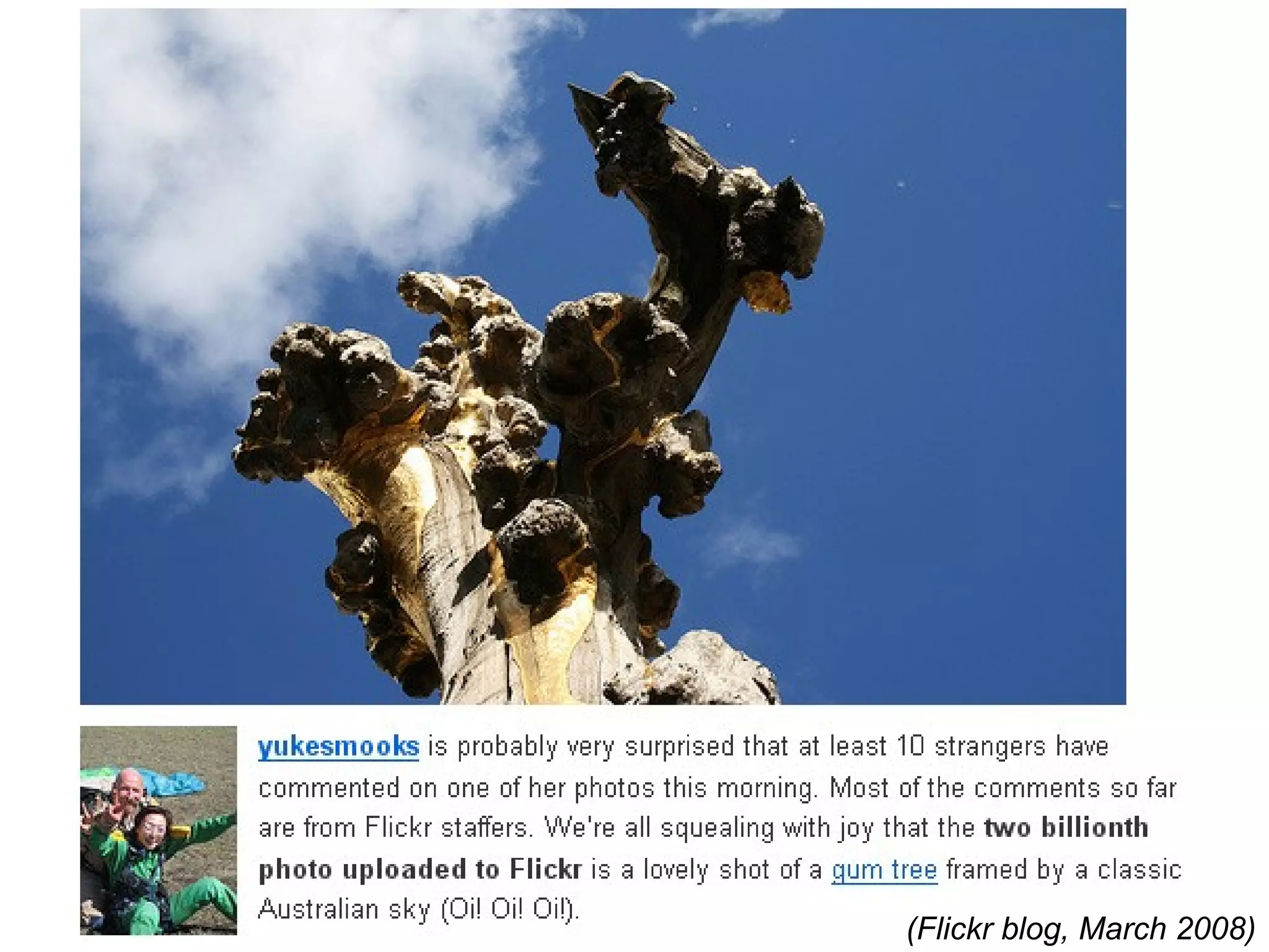 (Flickr blog, March 2008) 