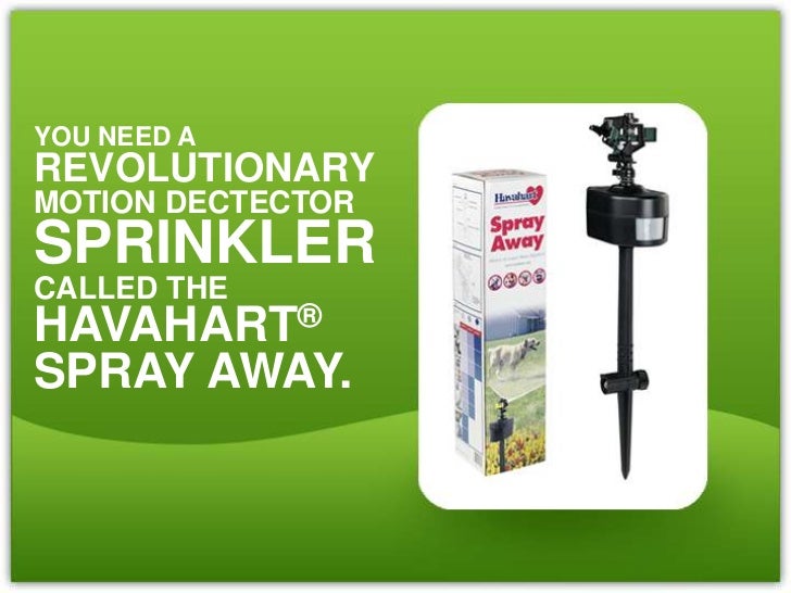 A Motion Sensor Water Sprayer Will Repel Animals From Your Garden and…