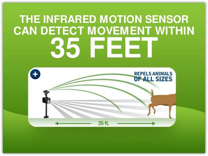 A Motion Sensor Water Sprayer Will Repel Animals From Your Garden and…
