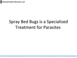 Spray Bed Bugs is a Specialized Treatment for Parasites  