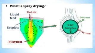 SPRAY DRYING IN MILK PROCESS | PPTX