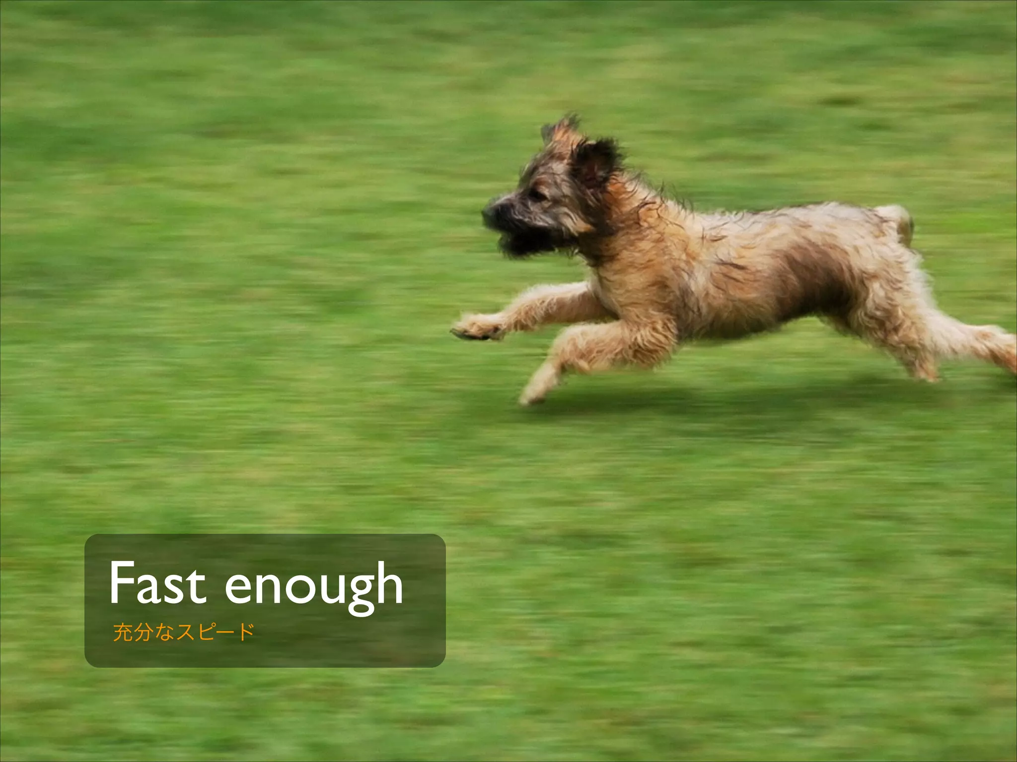 Fast enough
充分なスピード

 