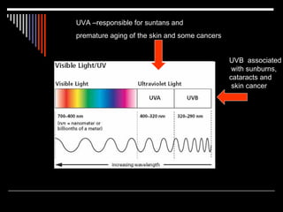 UVA –responsible for suntans and
premature aging of the skin and some cancers


                                               UVB associated
                                                with sunburns,
                                               cataracts and
                                                skin cancer
 