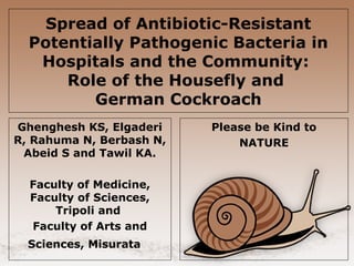 Spread of Antibiotic-Resistant
Potentially Pathogenic Bacteria in
Hospitals and the Community:
Role of the Housefly and
German Cockroach
Ghenghesh KS, Elgaderi
R, Rahuma N, Berbash N,
Abeid S and Tawil KA.
Faculty of Medicine,
Faculty of Sciences,
Tripoli and
Faculty of Arts and
Sciences, Misurata

Please be Kind to
NATURE

 