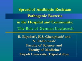 Spread of Antibiotic-Resistant
Pathogenic Bacteria
in the Hospital and Community:
The Role of German Cockroach
R. Elgaderi1, K.S. Ghenghesh2 and
N. El-Berbash1.
Faculty of Science1 and
Faculty of Medicine2
Tripoli University, Tripoli-Libya.

 