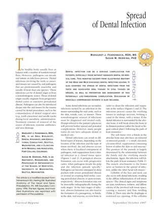 Spread
                                                                                of Dental Infection

                                                                              Margaret J. Fehrenbach, RDH, MS



T
                                                                                        Susan W. Herring, PhD

                                                                                                                                         5

       he healthy body usually lives in




                                                                                                                          abstract
balance with a number of resident normal           Dental infection can be a serious complication for
flora. However, pathogens can invade               patients, especially those without adequate dental or med-
and initiate an infectious process.1 Dental        ical care. This modified excerpt from Illustrated Anatomy
infections involving the teeth or associ-          of the Head and Neck discusses dental infection lesions. It
ated tissues are caused by oral pathogens
                                                   also examines the spread of dental infections from the
that are predominantly anaerobic and
usually of more than one species.2 These           teeth and associated oral tissues to vital tissues or
infections can be of dental origin or from         organs, as well as prevention and management of this
a nonodontogenic source. Those of dental           potentially life-threatening complication. Discussion of
origin usually originate from progressive          medically compromised patients is also included.
dental caries or extensive periodontal
disease. Pathogens can also be introduced           Some dental infections are secondary     order to drain the infection and suppu-
deeper into the oral tissues by the trauma    infections incited by an infection in the      rate at the surface (Figures 1 and 2). The
caused by dental procedures, such as the      tissues surrounding the oral cavity, such as   infectious process causes the overlying
contamination of dental surgical sites        the skin, tonsils, ears, or sinuses. These     tissues to undergo necrosis, forming a
(e.g., tooth extraction) and needle tracks    nonodontogenic sources of infections           canal in the tissue, with a stoma. If the
during local anesthetic administration.       must be diagnosed and treated early.           dental infection is surrounded by the alve-
Treatment consists of removal of the          Prompt referral to the patient’s physician     olar bone, it will break down the bone in
source of infection, systemic antibiotics,    will prevent further spread and potential      its thinnest portion (either the facial or lin-
and area drainage.                            complications. However, many people            gual cortical plate), following the path of
                                              today do not have adequate dental or           least resistance.2
bio




      Margaret J. Fehrenbach, RDH,
                                              medical care.                                        The soft tissue over a fistula in the
      MS, is an Oral Biologist,
                                                    Dental infections can result in dif-     alveolar bone may also have an extraoral
      Dental Hygienist, and Educa-
                                              ferent types of lesions, depending on the      or intraoral pustule — a small, elevated,
      tional Consultant, Seattle,             location of the infection and the type of      circumscribed, suppuration-containing
      Washington, and a Clinician             tissue involved. An oral abscess occurs        lesion of either the skin or oral mucosa.6
      with Woodall and Associates,            when there is localized entrapment of          The position of the pustule is largely
      Fort Collins, Colorado.                 pathogens, with suppuration from a den-        determined by the relationship between
                                              tal infection in a closed tissue space         the fistula and the overlying muscle
      Susan W. Herring, PhD, is an            (Figures 1 and 2). A periapical abscess        attachments. Again, the infection will fol-
      Anatomist, Researcher, and              formation can occur with progressive           low the path of least resistance (Table 1).
      Professor of Orthodontics               caries, when pathogens invade the pulp         The muscle attachments to the bones
      at the School of Dentistry,             and the infection spreads apically.3           serve as barriers to the spread of infec-
      University of Washington,               Pathogens can become entrapped in deep         tion, unlike the other facial soft tissues.2
      Seattle, Washington.                    pockets with severe periodontal disease              Cellulitis of the face and neck can
                                              or around an erupting third molar, caus-       also occur with dental infections, resulting
This article is a modified excerpt from:      ing periodontal abscess or pericoronitis,      in the diffuse inflammation of soft tissue
Fehrenbach MJ, Herring SW. Illustrated
                                              respectively.4 Abscess formation may not       spaces.2 The clinical signs and symptoms
Anatomy of the Head and Neck.
                                              be detectable radiographically during the      are pain, tenderness, redness, and diffuse
Philadelphia, PA: WB Saunders Com-
                                              early stages.5 In the later stages of infec-   edema of the involved soft tissue space,
pany; 1996. The text, figures, and mod-
ified illustrations are reprinted with        tion, abscess formation can also lead to       causing a massive and firm swelling
permission of the publisher.                  the formation of a passageway, or fistula,     (Table 2). There may also be dysphagia or
                                              in the skin, oral mucosa, or even bone in      restricted eye opening, if the cellulitis

Practical Hygiene                                                 13                                September/October 1997
 