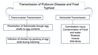 Spread of infectious agents of important avian diseases | PPTX