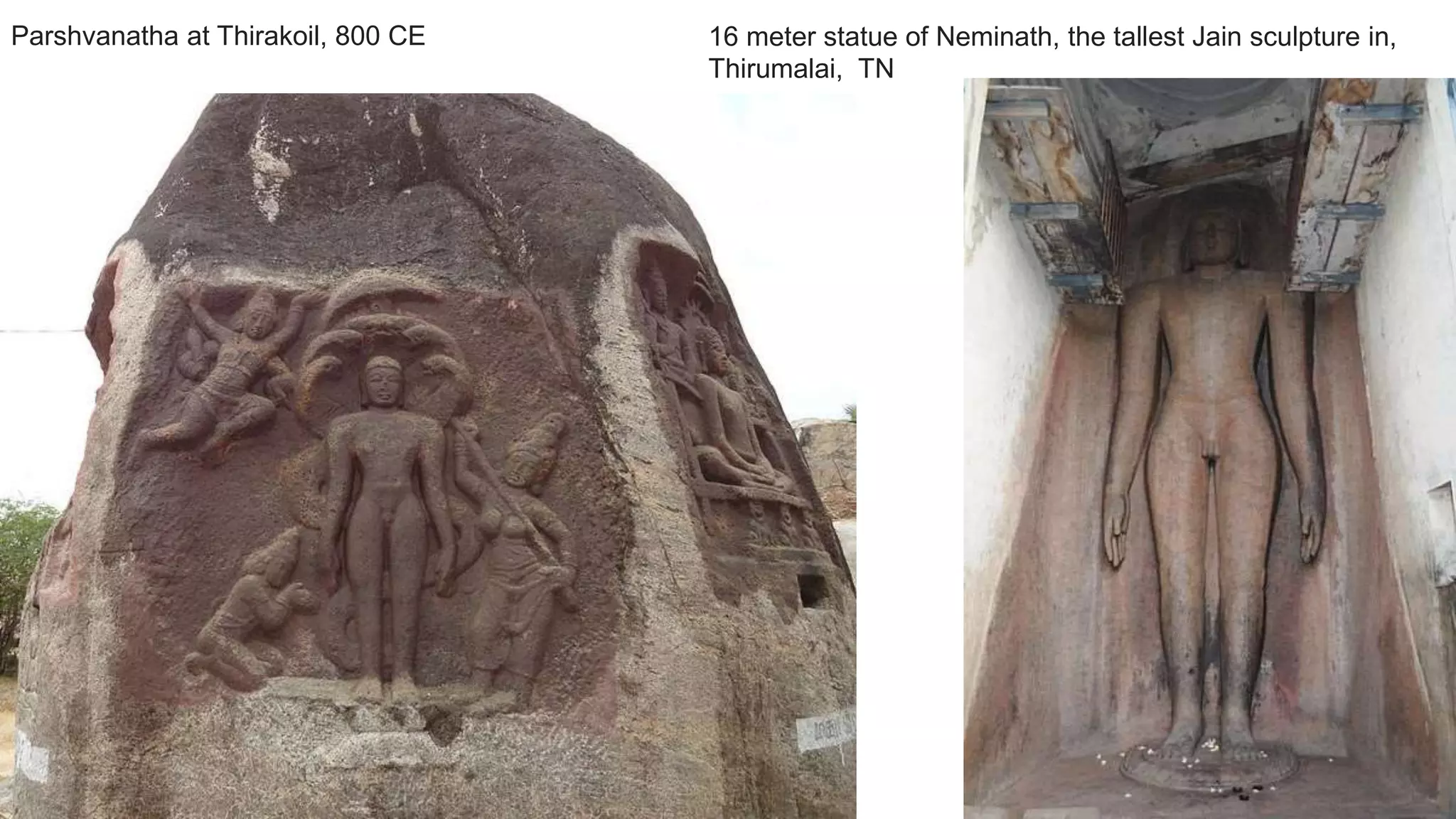 Parshvanatha at Thirakoil, 800 CE 16 meter statue of Neminath, the tallest Jain sculpture in,
Thirumalai, TN
 