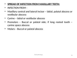 Palatal Infection SPREAD OF ORAL INFECTIONS PPT For 3rd year BDS .ppt