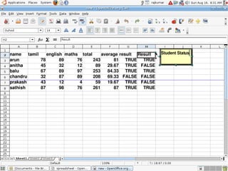 OpenOffice Spreadsheet | PDF