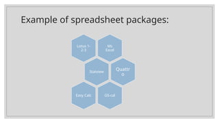 ss3 computer Spreadsheet Application.pptx