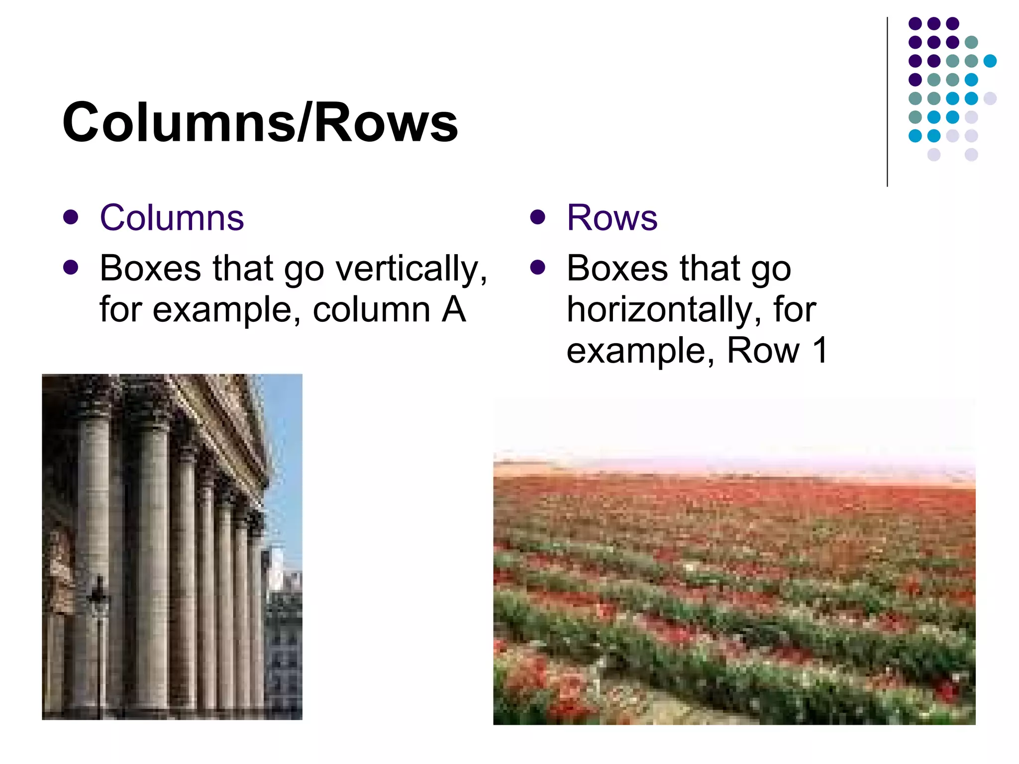 Columns/Rows Columns Boxes that go vertically, for example, column A  Rows Boxes that go horizontally, for example, Row 1 