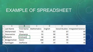 EXAMPLE OF SPREADSHEET