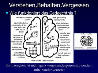 Verstehen,Behalten,Vergessen Wie funktioniert das Gedaechtnis ? Hirntaetigkeit ist nicht ganz voneinandergetrennt , sondern miteinander vernetzt   