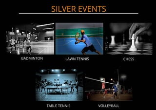 Spree 2013 : Marketing Brochure