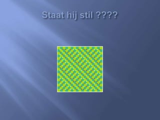 Gezichtsbedrog Spreekbeurt [ingezonden]