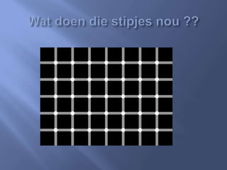 Gezichtsbedrog Spreekbeurt [ingezonden]