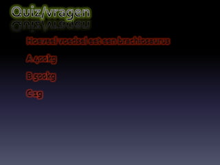 Spreekbeurt job echt cool