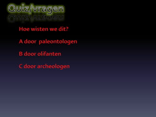 Spreekbeurt job echt cool