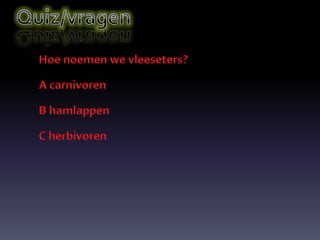 Spreekbeurt job echt cool