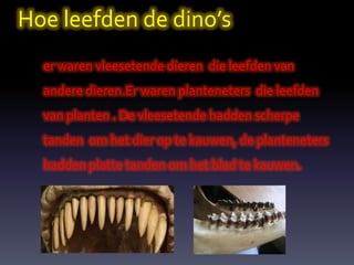 Hoe leefden de dino’s
  er waren vleesetende dieren die leefden van
  andere dieren.Er waren planteneters die leefden
  van planten . De vleesetende hadden scherpe
  tanden om het dier op te kauwen, de planteneters
  hadden platte tanden om het blad te kauwen.
 