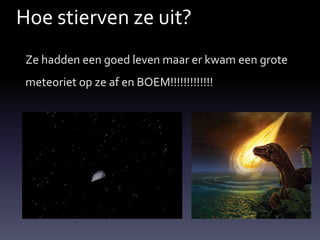 Hoe stierven ze uit?
 Ze hadden een goed leven maar er kwam een grote
 meteoriet op ze af en BOEM!!!!!!!!!!!!!
 