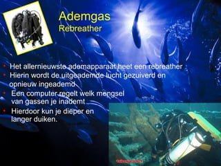 Ademgas
Rebreather

• Het allernieuwste ademapparaat heet een rebreather
• Hierin wordt de uitgeademde lucht gezuiverd en
opnieuw ingeademd
• Een computer regelt welk mengsel
van gassen je inademt
• Hierdoor kun je dieper en
langer duiken.

 