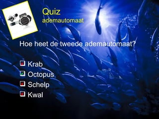 Quiz
ademautomaat

Hoe heet de tweede ademautomaat?

 Krab

 Octopus

 Schelp

 Kwal

 