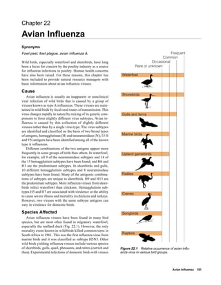 Avian Influenza 181
Frequent
Common
Occasional
Rare or unknown
Waterfowl
Shorebirds
Gulls and terns
Marine birds
Upland gamebirds
Ratites
Cranes
Songbirds
Raptors
Chapter 22
Avian Influenza
Synonyms
Fowl pest, fowl plague, avian influenza A.
Wild birds, especially waterfowl and shorebirds, have long
been a focus for concern by the poultry industry as a source
for influenza infections in poultry. Human health concerns
have also been raised. For these reasons, this chapter has
been included to provide natural resource managers with
basic information about avian influenza viruses.
Cause
Avian influenza is usually an inapparent or nonclinical
viral infection of wild birds that is caused by a group of
viruses known as type A influenzas. These viruses are main-
tained in wild birds by fecal-oral routes of transmission. This
virus changes rapidly in nature by mixing of its genetic com-
ponents to form slightly different virus subtypes. Avian in-
fluenza is caused by this collection of slightly different
viruses rather than by a single virus type. The virus subtypes
are identified and classified on the basis of two broad types
of antigens, hemagglutinan (H) and neuraminidase (N); 15 H
and 9 N antigens have been identified among all of the known
type A influenzas.
Different combinations of the two antigens appear more
frequently in some groups of birds than others. In waterfowl,
for example, all 9 of the neuraminidase subtypes and 14 of
the 15 hemagglutinin subtypes have been found, and H6 and
H3 are the predominant subtypes. In shorebirds and gulls,
10 different hemagglutinin subtypes and 8 neuraminidase
subtypes have been found. Many of the antigenic combina-
tions of subtypes are unique to shorebirds. H9 and H13 are
the predominate subtypes. More influenza viruses from shore-
birds infect waterfowl than chickens. Hemagglutinin sub-
types H5 and H7 are associated with virulence or the ability
to cause severe illness and mortality in chickens and turkeys.
However, two viruses with the same subtype antigens can
vary in virulence for domestic birds.
Species Affected
Avian influenza viruses have been found in many bird
species, but are most often found in migratory waterfowl,
especially the mallard duck (Fig. 22.1). However, the only
mortality event known in wild birds killed common terns in
South Africa in 1961. This was the first influenza virus from
marine birds and it was classified as subtype H5N3. Other
wild birds yielding influenza viruses include various species
of shorebirds, gulls, quail, pheasants, and ratites (ostrich and
rhea). Experimental infections of domestic birds with viruses
Figure 22.1 Relative occurrence of avian influ-
enza virus in various bird groups.
 