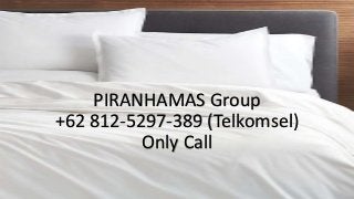 PIRANHAMAS Group
+62 812-5297-389 (Telkomsel)
Only Call
 