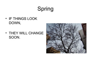 Spring ,[object Object],[object Object]