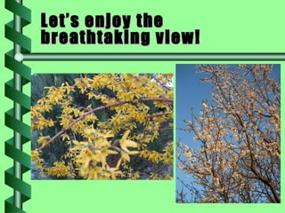 Let’s enjoy the breathtaking view! 