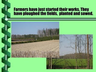 Farmers have just started their works. They have ploughed the fields,  planted and sowed. 