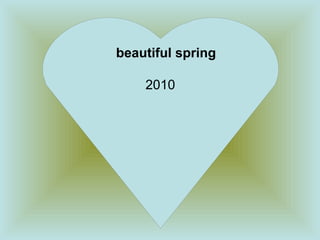 beautiful spring  2010  