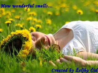 How wonderful smells…




                    Created by Željko Čidi
 