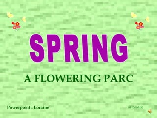 A FLOWERING PARC 02-04-11   07:08 PM SPRING Powerpoint : Loraine automatic 