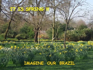 IMAGINE  OUR  BRAZIL IT IS SPRING !!! 