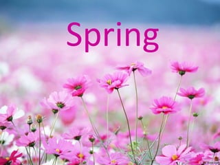 Spring
 