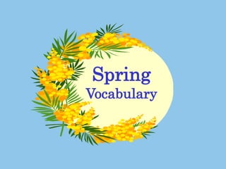 Spring
Vocabulary