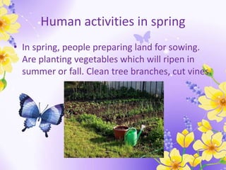 Human activities in spring
• In spring, people preparing land for sowing.
Are planting vegetables which will ripen in
summer or fall. Clean tree branches, cut vines.
 