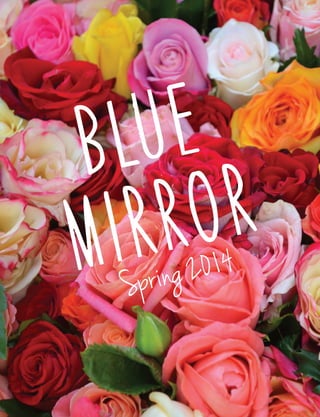 Mirror
blue
Spring 2014
 