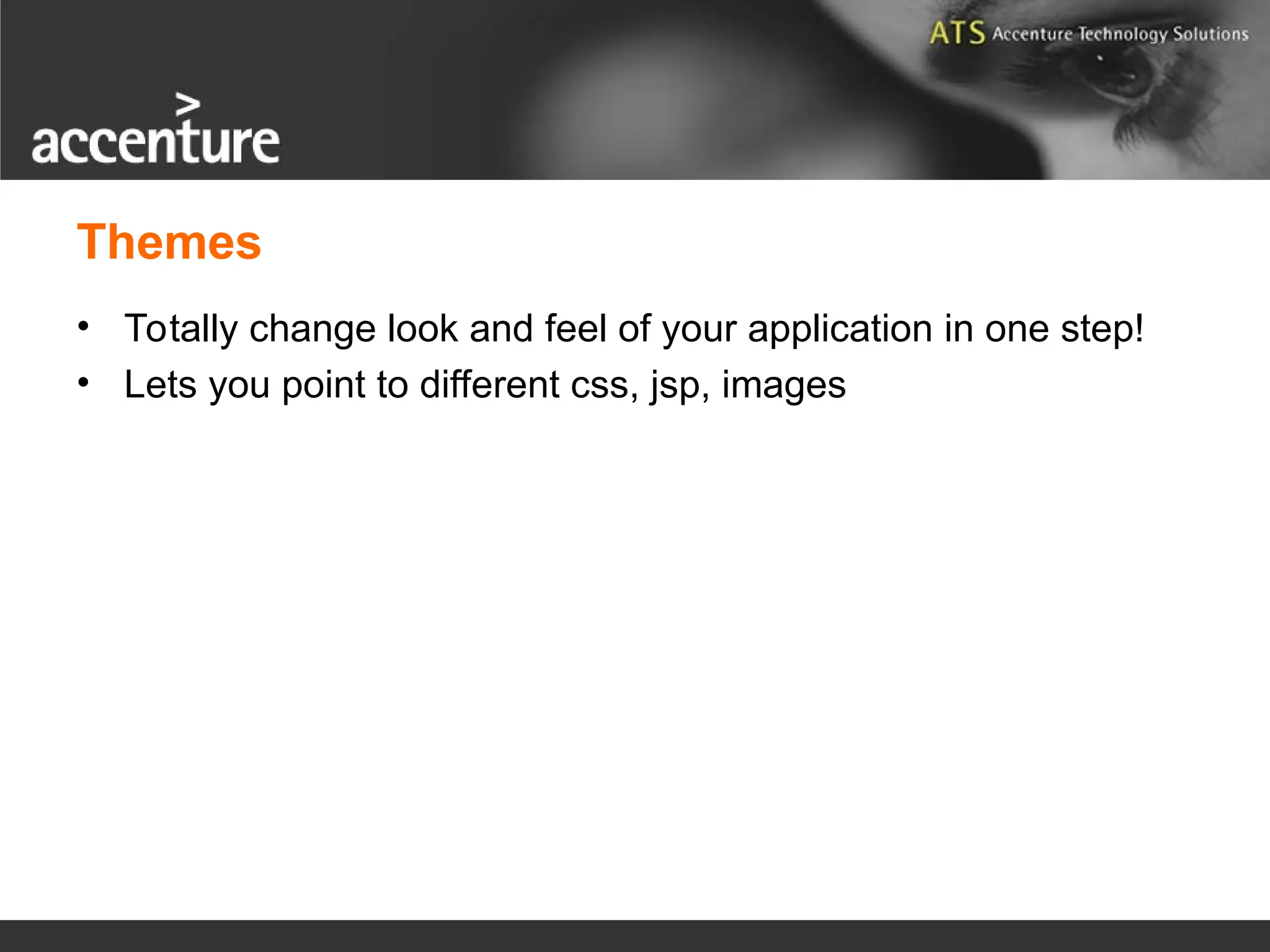 Themes • Totally change look and feel of your application in one step! • Lets you point to different css, jsp, images 