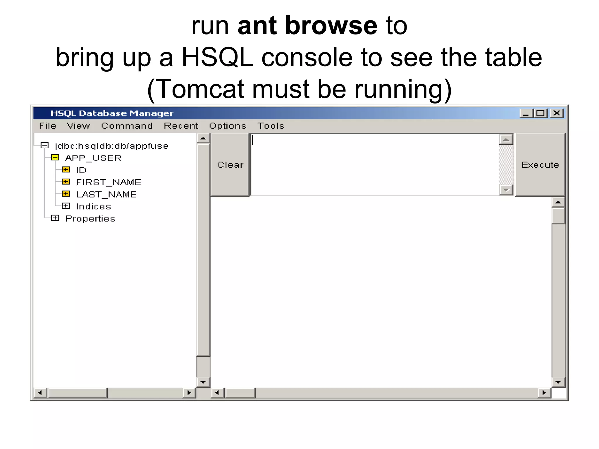 run ant browse to
bring up a HSQL console to see the table
(Tomcat must be running)
 