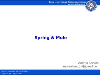 Spring & Mule Andrea Bozzoni [email_address] Andrea Bozzoni, Spring&Mule Cagliari, 14 Luglio 2007 1 