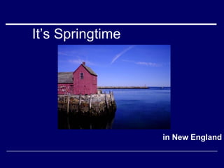It’s Springtime in New England 